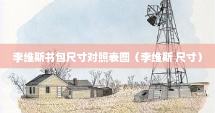 李维斯书包尺寸对照表图（李维斯 尺寸）