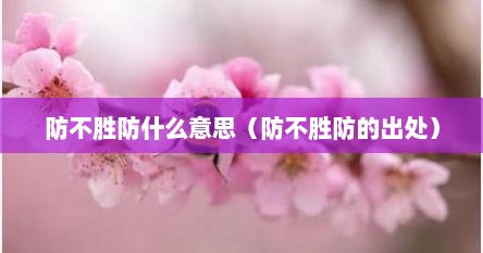 防不胜防什么意思（防不胜防的出处）