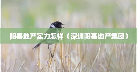 阳基地产实力怎样（深圳阳基地产集团）
