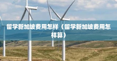 留学新加坡费用怎样（留学新加坡费用怎样算）