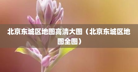 北京东城区地图高清大图（北京东城区地图全图）