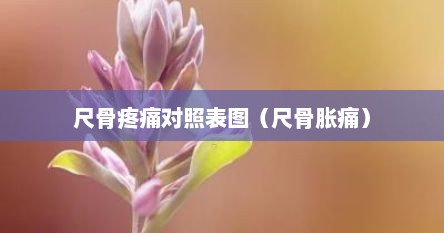 尺骨疼痛对照表图（尺骨胀痛）