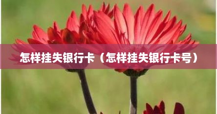 怎样挂失银行卡（怎样挂失银行卡号）