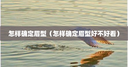 怎样确定眉型（怎样确定眉型好不好看）