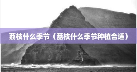 荔枝什么季节（荔枝什么季节种植合适）