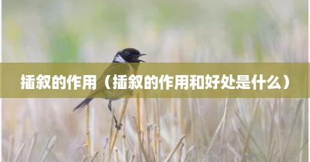 插叙的作用（插叙的作用和好处是什么）