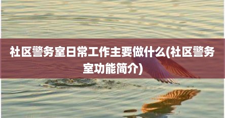 社区警务室日常工作主要做什么(社区警务室功能简介)