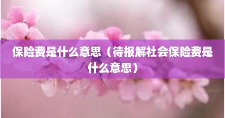 保险费是什么意思（待报解社会保险费是什么意思）