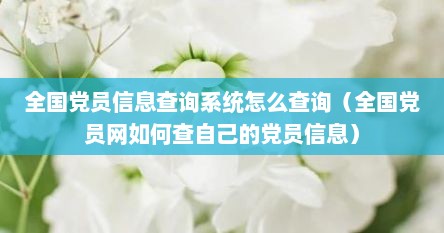 全国党员信息查询系统怎么查询（全国党员网如何查自己的党员信息）