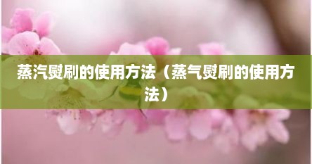 蒸汽熨刷怎么加水（蒸汽熨斗刷）