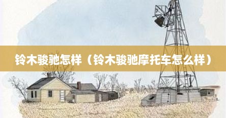 铃木骏驰怎样（铃木骏驰摩托车怎么样）