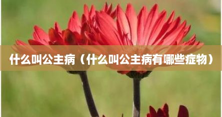 什么叫公主病（什么叫公主病有哪些症物）
