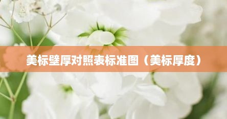 美标壁厚对照表标准图（美标厚度）