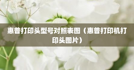 惠普打印头型号对照表图（惠普打印机打印头图片）