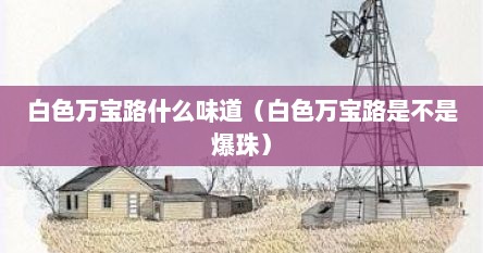 白色万宝路什么味道（白色万宝路是不是爆珠）