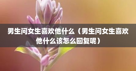 男生问女生喜欢他什么（男生问女生喜欢他什么该怎么回复呢）