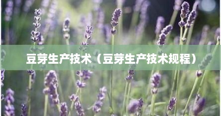豆芽生产技术（豆芽生产技术规程）