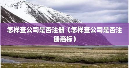 怎样查公司是否注册（怎样查公司是否注册商标）