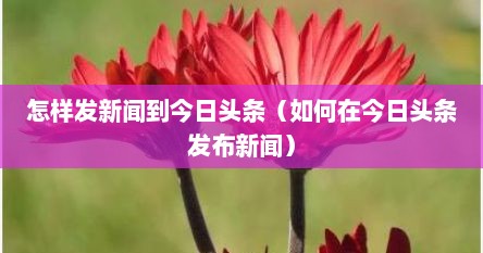 怎样发新闻到今日头条（如何在今日头条发布新闻）