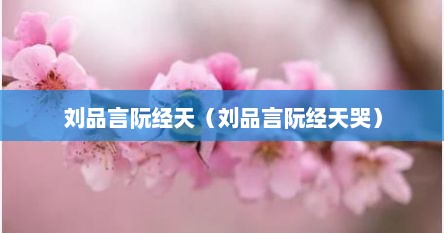 刘品言阮经天（刘品言阮经天哭）