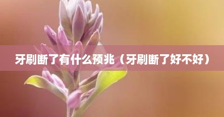 牙刷断了是什么兆头（牙刷突然断了预示着什么）