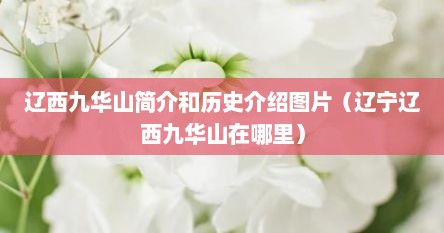 辽西九华山简介和历史介绍图片（辽宁辽西九华山在哪里）