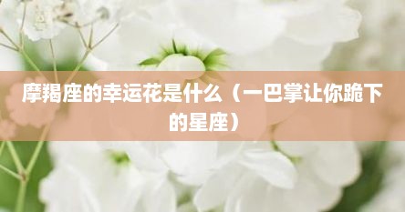 摩羯座的幸运花是什么（一巴掌让你跪下的星座）