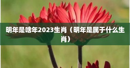 明年是啥年2023生肖(明年是属于什么生肖) 明年是啥年2023生肖(明年是属于什么生肖)