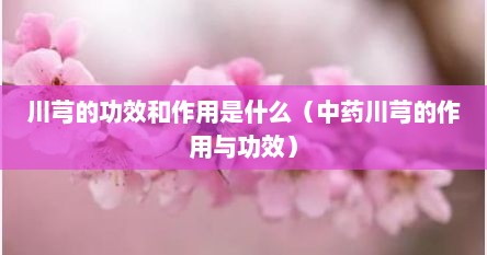 川芎的功效和作用是什么（中药川芎的作用与功效）