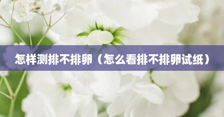 怎样测排不排卵（怎么看排不排卵试纸）