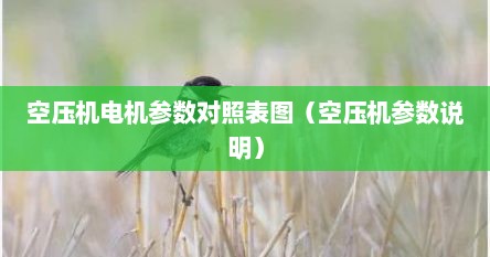 空压机电机参数对照表图（空压机参数说明）