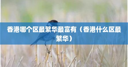 香港哪个区最繁华最富有（香港什么区最繁华）