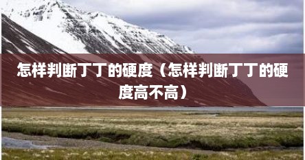 怎样判断丁丁的硬度（怎样判断丁丁的硬度高不高）