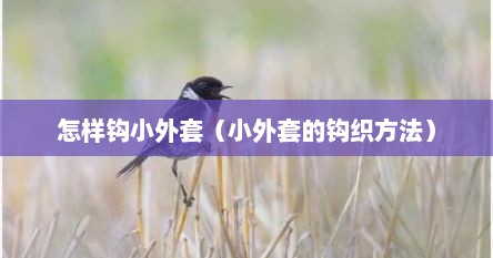 怎样钩小外套（小外套的钩织方法）
