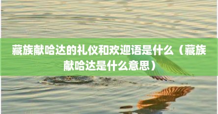 藏族献哈达的礼仪和欢迎语是什么（藏族献哈达是什么意思）