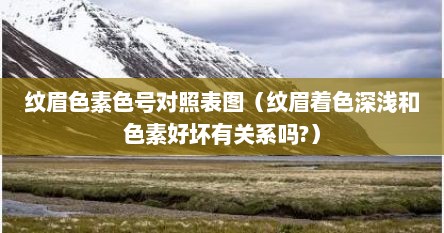 纹眉色素色号对照表图（纹眉着色深浅和色素好坏有关系吗?）