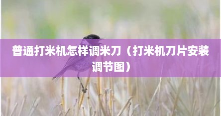 普通打米机怎样调米刀（打米机刀片安装调节图）