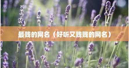 最贱的网名（好听又贱贱的网名）