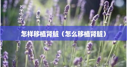 怎样移植肾脏（怎么移植肾脏）