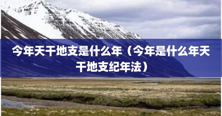 今年天干地支是什么年（今年是什么年天干地支纪年法）