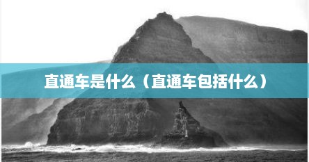 直通车是什么（直通车包括什么）
