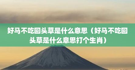 好马不吃回头草是什么意思（好马不吃回头草是什么意思打个生肖）
