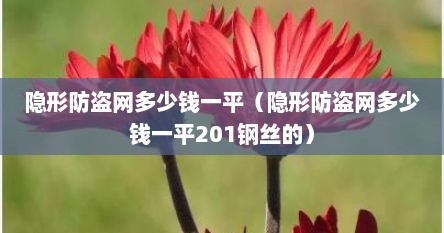 隐形防盗网多少钱一平（隐形防盗网多少钱一平201钢丝的）