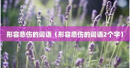 形容悲伤的词语（形容悲伤的词语2个字）
