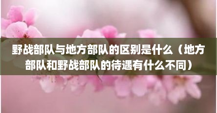 野战部队与地方部队的区别是什么（地方部队和野战部队的待遇有什么不同）
