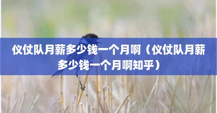 仪仗队月薪多少钱一个月啊（仪仗队月薪多少钱一个月啊知乎）
