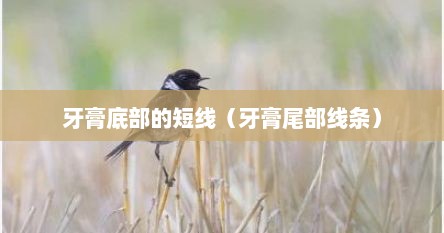 牙膏底部的短线（牙膏尾部线条）