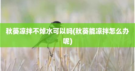 秋葵凉拌不焯水可以吗(秋葵能凉拌怎么办呢)