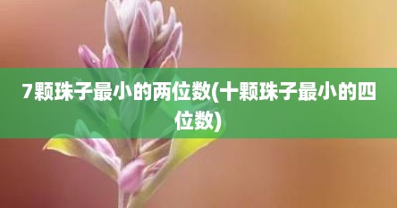 7颗珠子最小的两位数(十颗珠子最小的四位数)