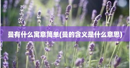 曼有什么寓意简单(曼的含义是什么意思)